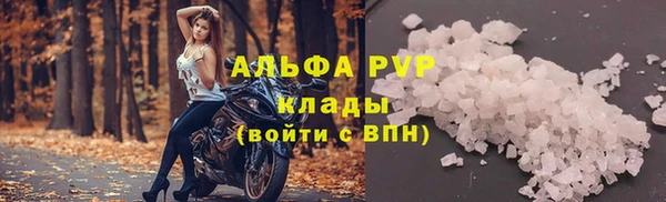 гидра Михайловка