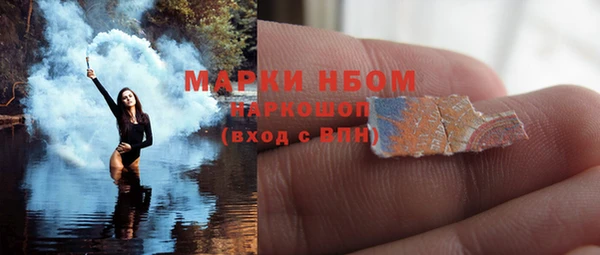 гидра Михайловка