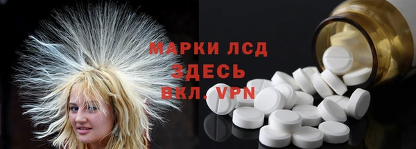 гидра Михайловка