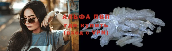 гидра Михайловка