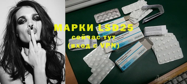гидра Михайловка