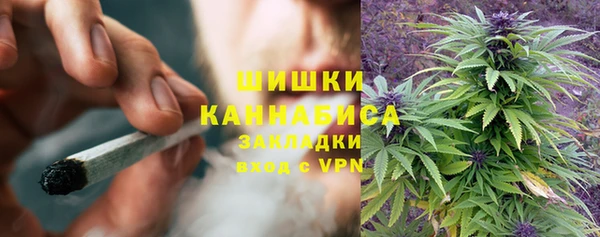гидра Михайловка