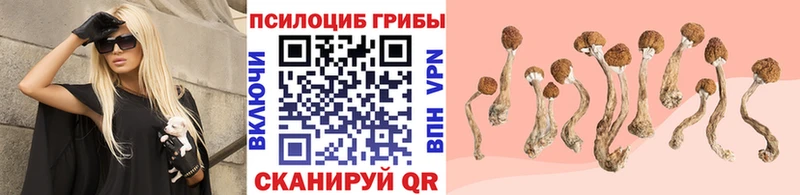 Галлюциногенные грибы GOLDEN TEACHER  Купить закладки  Усть-Джегута 