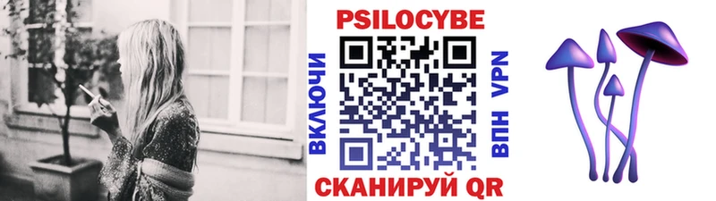 Псилоцибиновые грибы прущие грибы Усть-Джегута